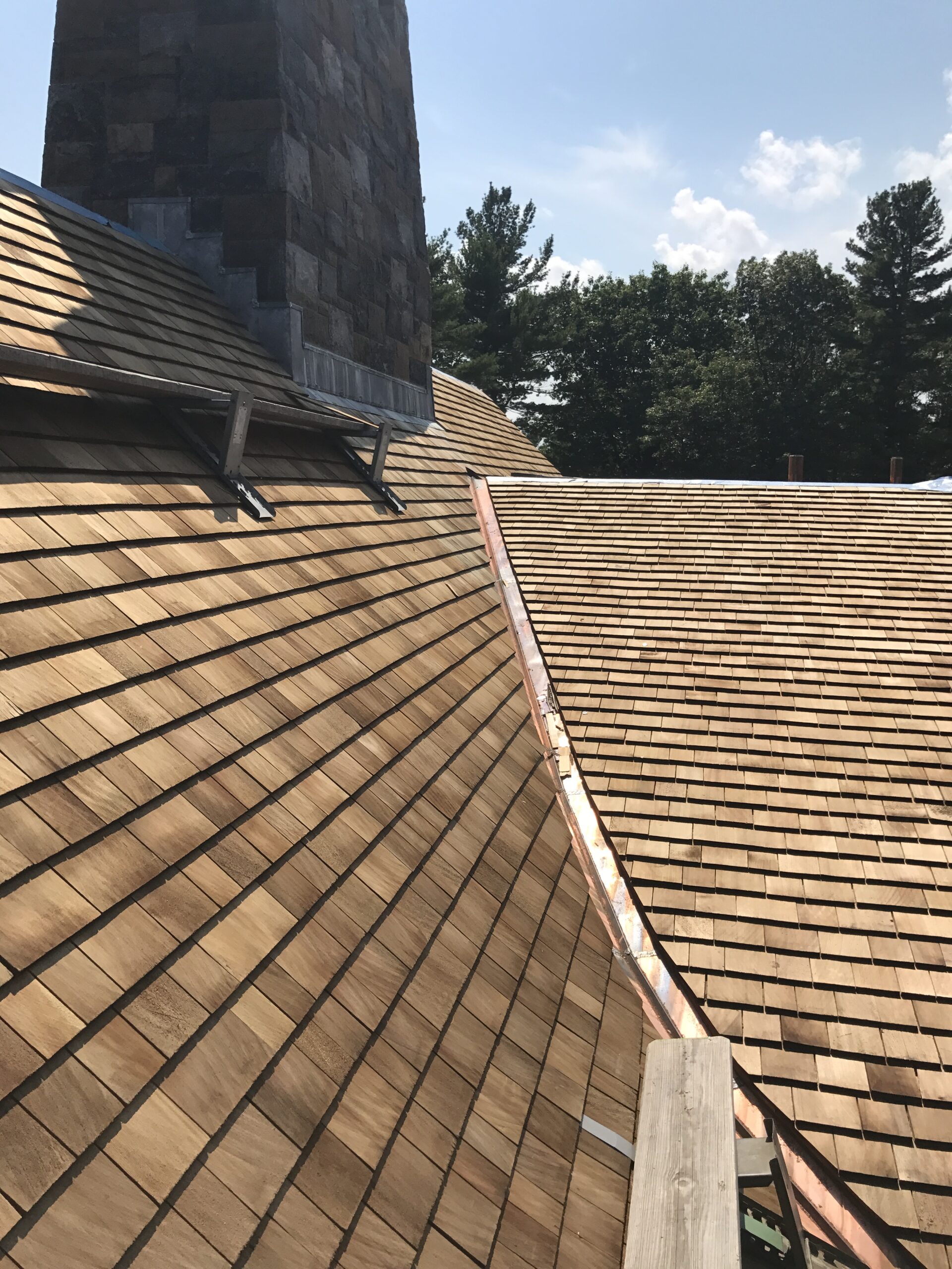 Photo Aug 04 2017, 2 45 49 PM